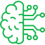 brain